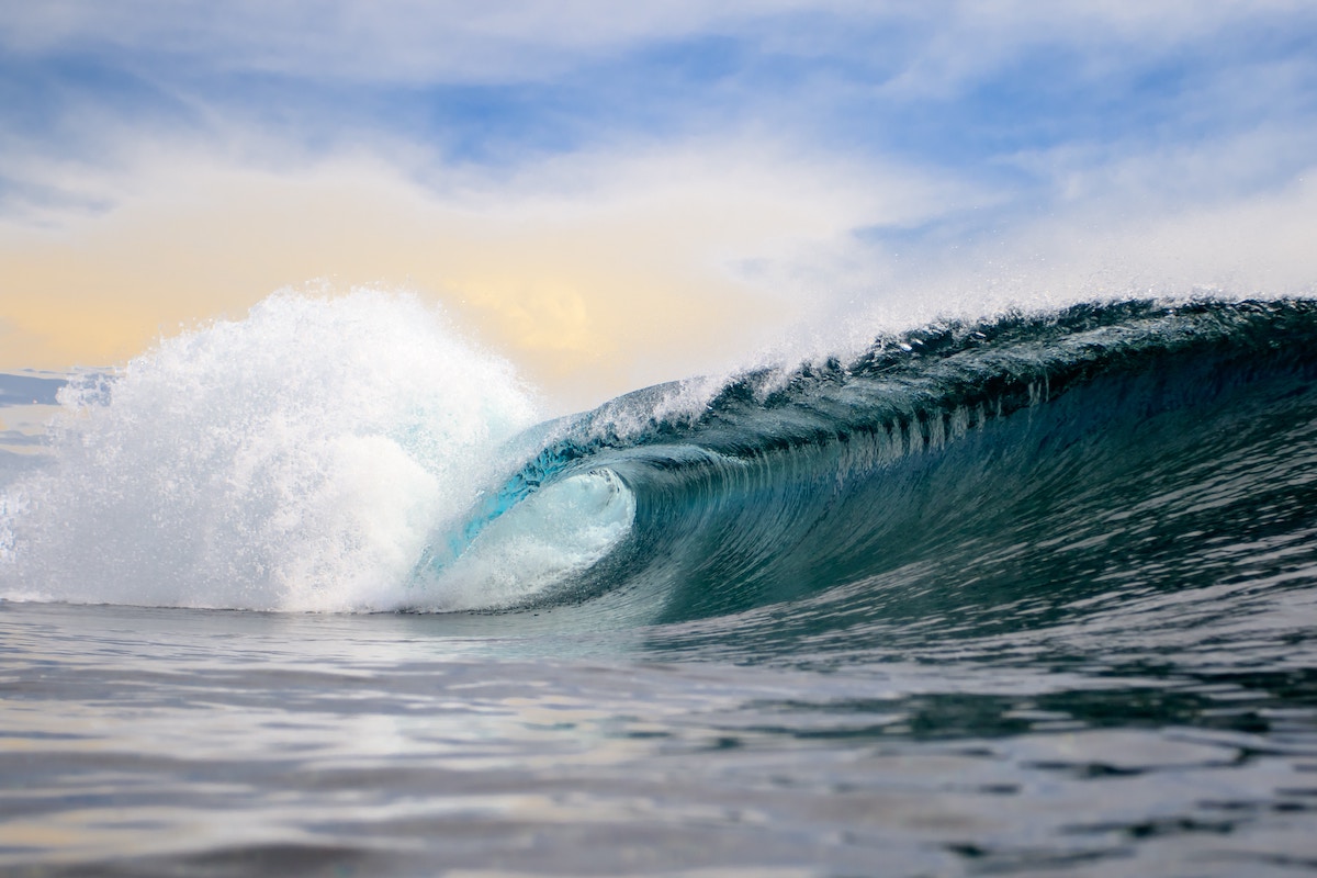How to Ride a Wave of Growth, or Revel in Its Crash