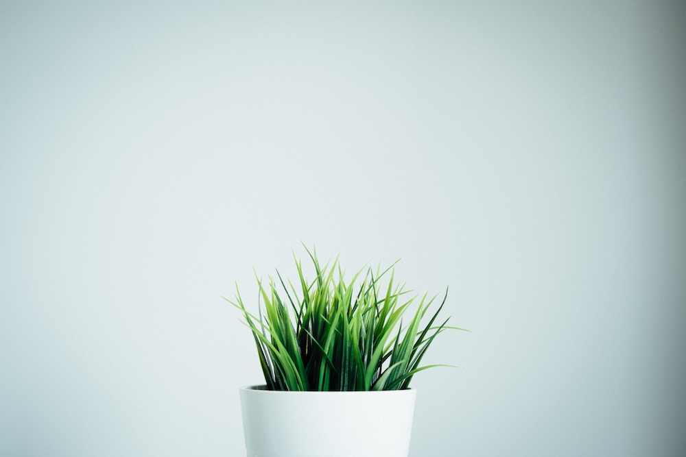 Content Refreshing: How to Win Traffic by Updating Old Content