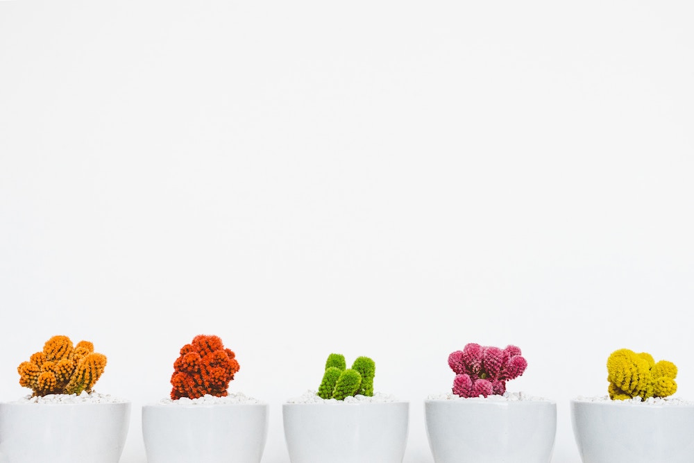 The Secret to Content Promotion Is Hidden in Plain Sight