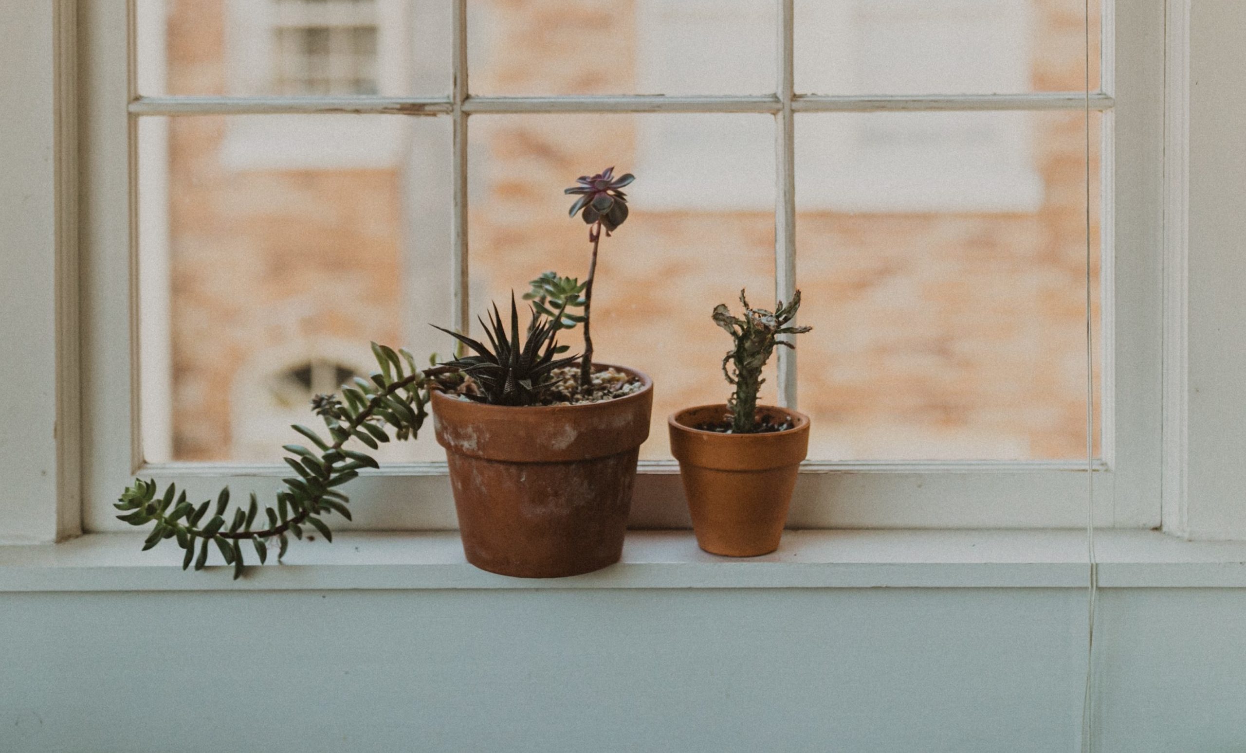 Niche Down to Scale Up: A Case Study in Ecommerce Content Marketing