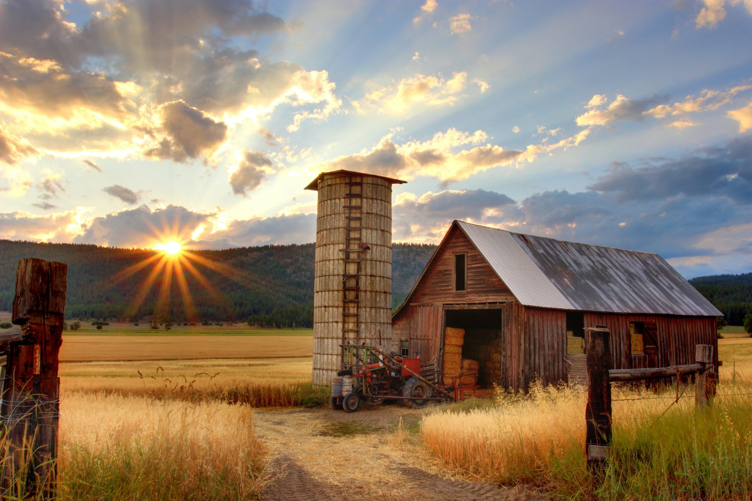 The Idea Farm: How to Sow, Grow, and Harvest Great Blog Post Ideas