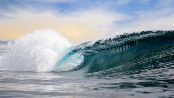 How to Ride a Wave of Growth, or Revel in Its Crash