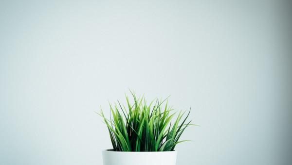Content Refreshing: How to Win Traffic by Updating Old Content