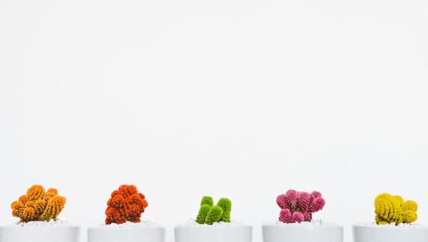 The Secret to Content Promotion Is Hidden in Plain Sight