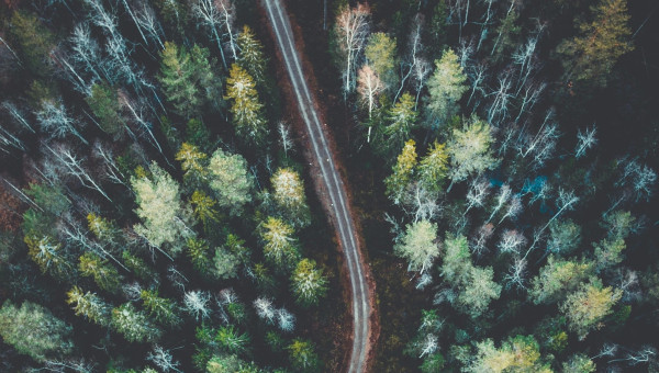 4 Growth Opportunities Hiding in Recession