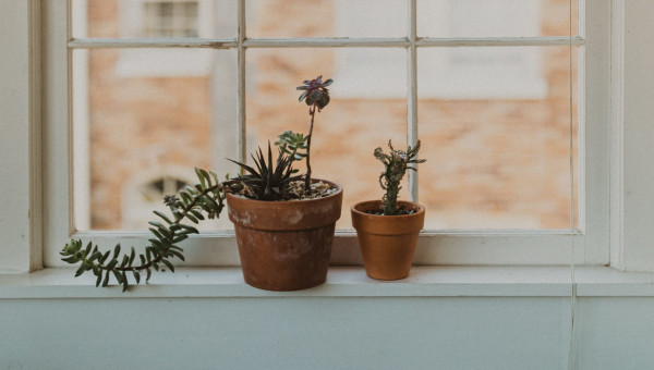 Niche Down to Scale Up: A Case Study in Ecommerce Content Marketing