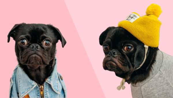 The Auteur Theory of Content Marketing: Why It Pays to Repeat Yourself