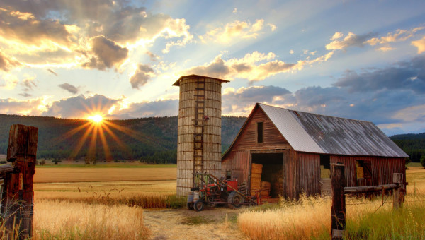 The Idea Farm: How to Sow, Grow, and Harvest Great Blog Post Ideas