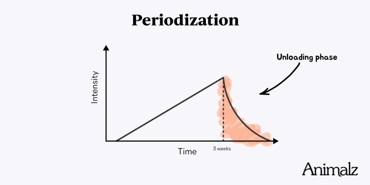 A three-to-one ratio of training to recovery .